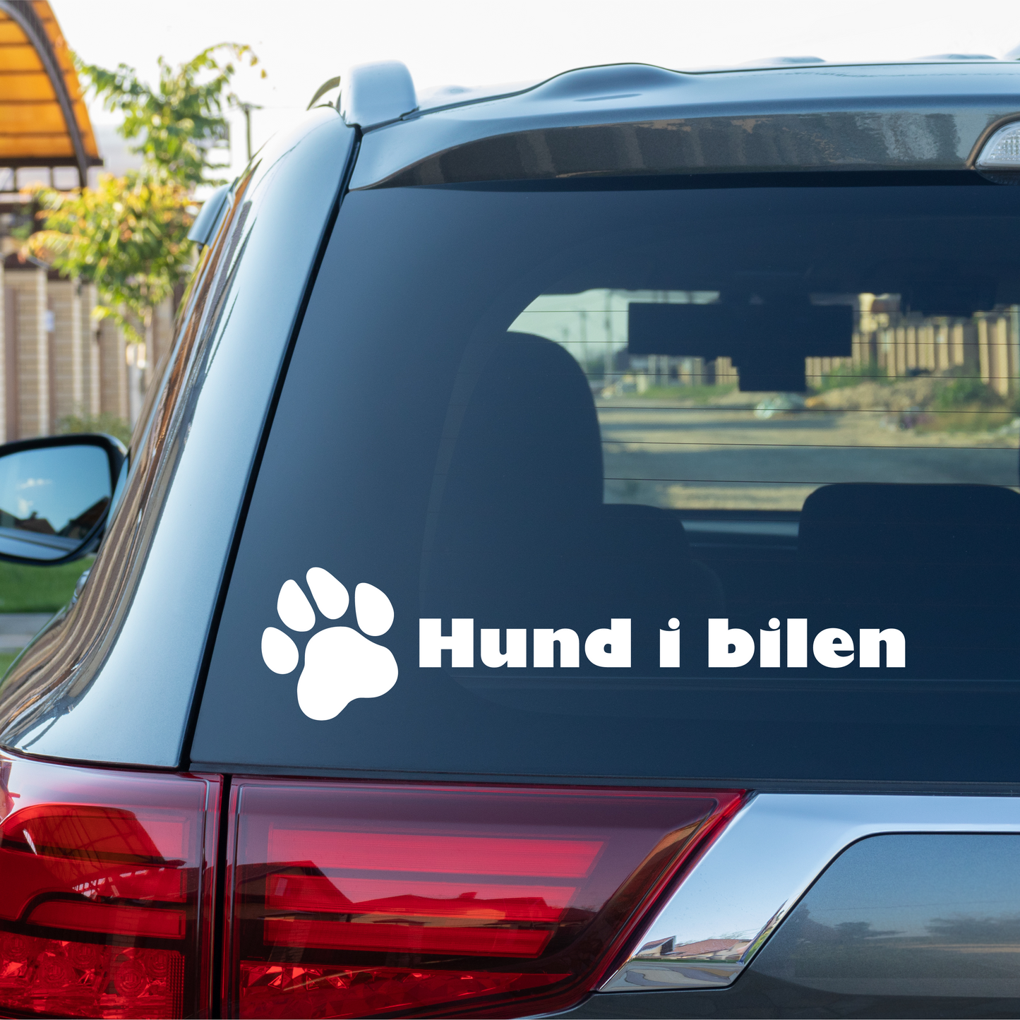 Hund i bilen