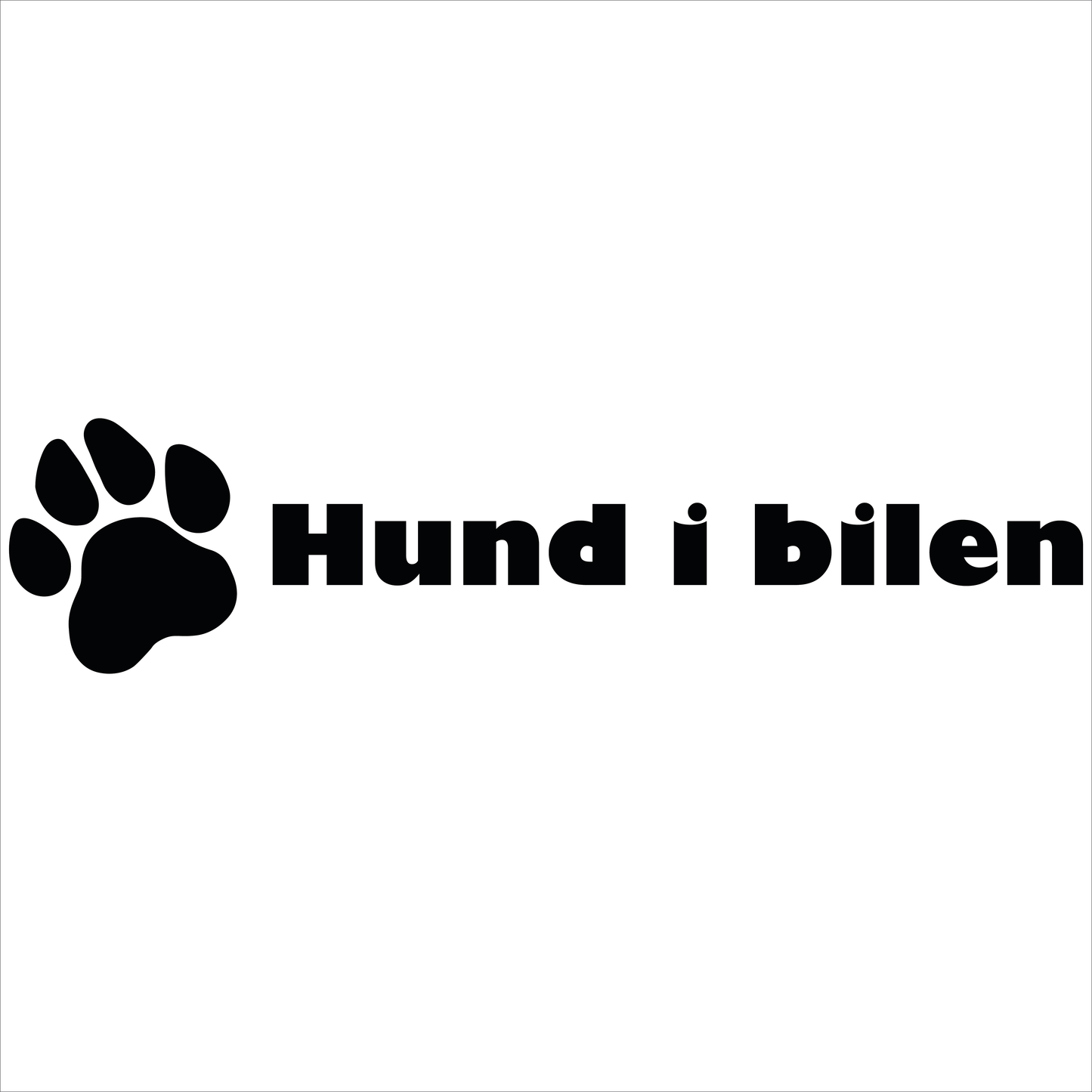 Hund i bilen