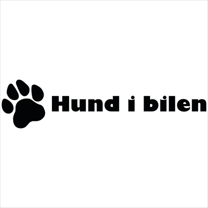 Hund i bilen